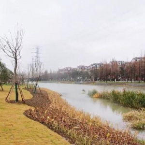 �`�Ĳ����� ������T�؅^(q��)����һ���¹��@