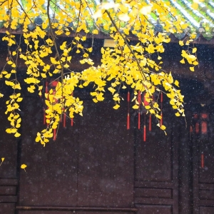 ��ꖾW(w��ng)app���x�DƬ���� ǰ·������(d��ng)�˼�����(d��)