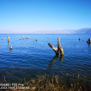 ��^(q��)�W(w��ng)�����{�η���  ���Ĵ΁����ϴ���