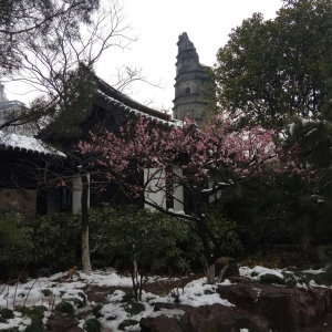 ��ꖾW(w��ng)APP���� �����ֵܹʾ� �d���@�S��