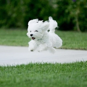 ��ϲ�@Щ�˽������·� ���ゃ����һ�ݕr(sh��)�g��