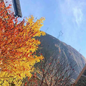 ��^�W�ѷ������������{֮����;�L��