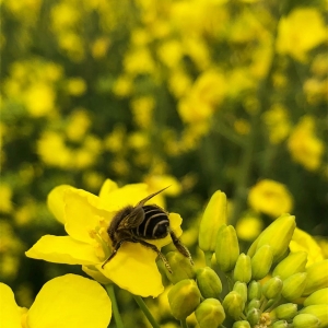 ��^�W�ѷ�����Ʒ ��ɽ���Ĵ��Lʮ��