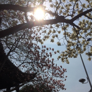 ��ꖾWAPP�������] ���m�ҷ������