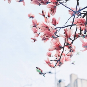 ��ꖾWAPP�W�ѷ������]         ����һ��Ҫ�Ƿ�ɫ