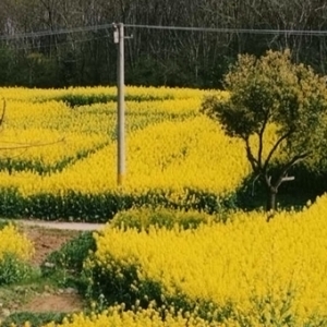 ��ꖾWAPP�������]���l�g�������ͮ�