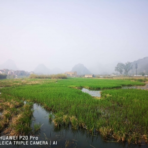 ��^�W�����з������ʵ����� ���{���ߺ�