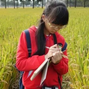 ��(y��u)�㣡����@��(g��)С������H14�q �����ı�����