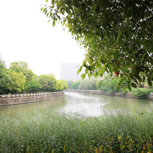 ɽ�^�����һȦ �������ɽ���@�ͷ��a���O