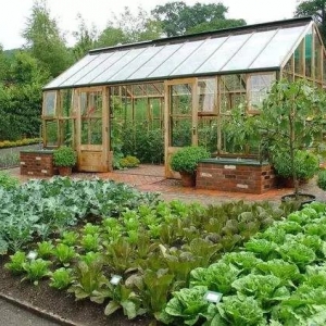 ��ꎳ��F(xi��n)ռ�ù����G�طN�ˬF(xi��n)��