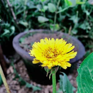 ��ꖾWAPP����zӰ���] ��һ�l����