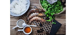 ���D���� ��������Ą�������ʳ�_ʼ