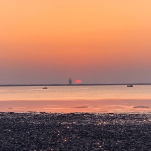 ��ꖾW(w��ng)APP�������] ����ȥ���������ճ�