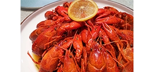 Ʒζ��ͬ��ζ���r��ʳ �M���Ó�ζ��