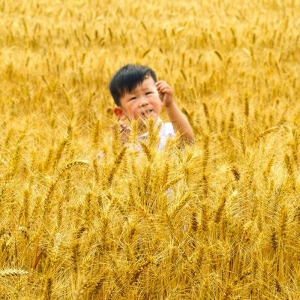 ��^�W�ѷ��� ��N�N������