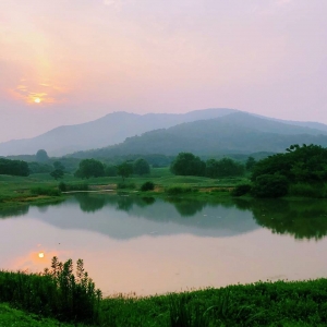 APP�������] �����p�������p��