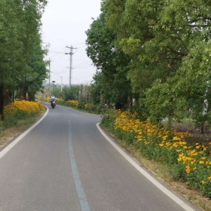 APP�������] �����˵���G��