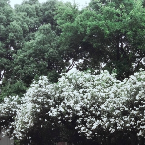 ��^�W�ѷ������]������ͣͣ����