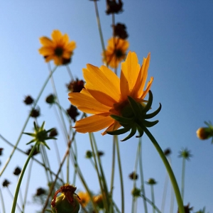 ��^�W�ѷ������]��һ��С��������