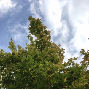 ���(y��ng)�W(w��ng)APP�������] ������˶���