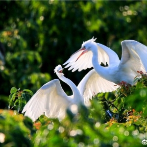 �M���w�B���ɽ��Ђ������B���á�