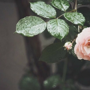 ��^(q��)�W(w��ng)�ѷ������]���W(xu��)��(hu��)���Լ��΂�