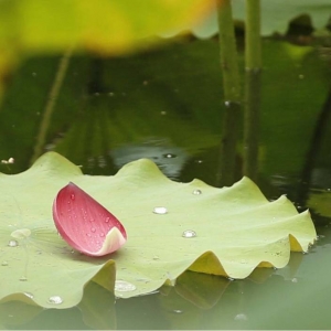 ��^(q��)�W(w��ng)����Ʒ�������]�����պ�Ӱ