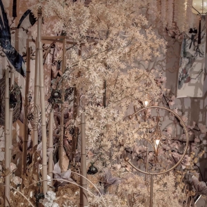 �����������ʽ��Y һ�þ��s�������Y(ji��)