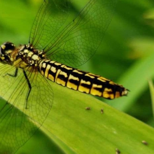 ��^(q��)�W(w��ng)�ѷ������]����Û]Ҋ�^������