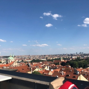 ��ꖾW(w��ng)APP�������]����Ҋ������