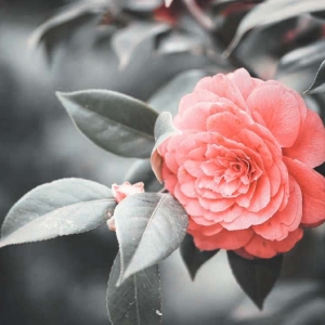 ��ꖾWAPP�������]���B�Z����