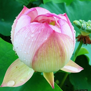 ��^�W�ѷ������]���΂������ӳ���