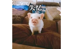 ��������� ���Ҫ��÷�ˣ��ȴ������...