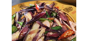 ��ζǭ�� �����ٔ�����������c�Ļ�