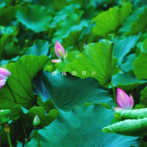 ��^�W�ѷ������]���顾�ɡ�����