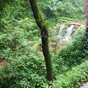 ��^�W�����з������A���ɶ� ��������