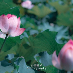 ��^(q��)�W�ѷ������]��С�ɲ�¶����