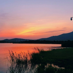 ��ꖾWAPP�������]:һ���������L����