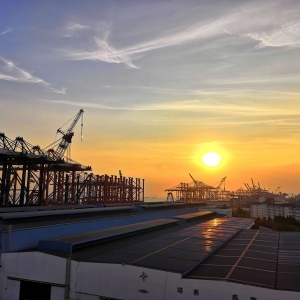 ��ꖾWAPP�������]������r�����f��������