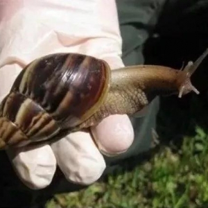 �����@�NС����ǧ�f�e��Ҳ�e�������ؿ�����