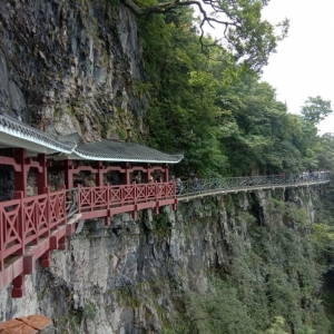 ��^�W�ю��޳���ƪ���t����f����