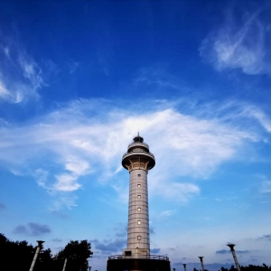 ��ꖾWAPP���]���W�ѷ��� ���մ�