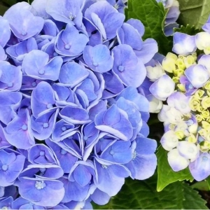 �ձ��l�g���֙C���ģ�