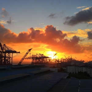 APP����Ȧ�����ĵ��ճ�����