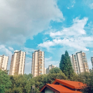 �����hȥ ��߀δ�� ��������