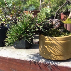 �W(w��ng)�ѷ�����ӛ��� �ķN���B(y��ng)��С�辰