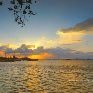 �����ᡱ���� ��߅��������պ���