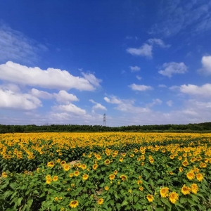 ռ�Ę��@Ƭ���տ� ���_���������