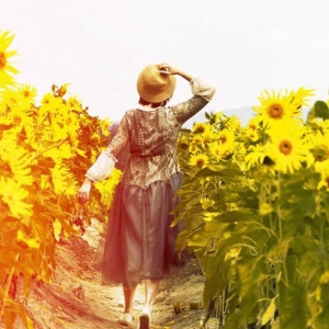 ��������箋 �zӰ��W�����տ�������