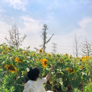 ��^�W�ѷ������]���W�t���տ���